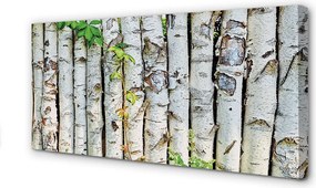 Obraz na płótnie Liście Brzozy