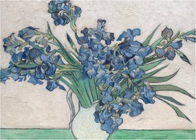 Obraz - Vincent van Gogh, Irises, reprodukcje (70x50 cm)