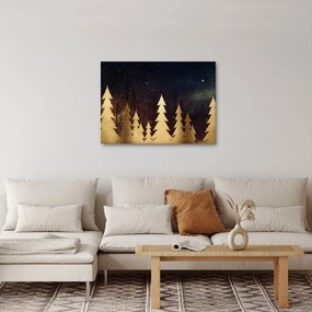 Obraz - Złota noc (70x50 cm)