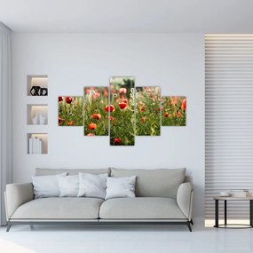 Obraz maków (125x70 cm)