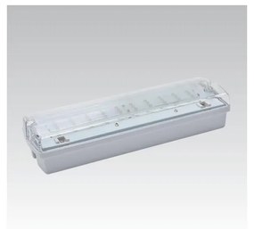 Oprawa awaryjna CARLA LED LED/5,51W/230V tymczasowa 1h IP65