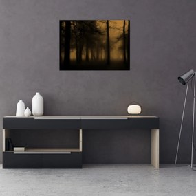 Obraz - Ciemny las (70x50 cm)