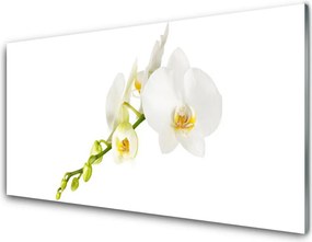 Panel Szklany Pełnia Kwiatowego Rozkwitu