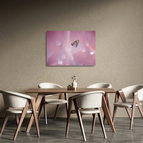 Obraz na szkle - Motyl (70x50 cm)
