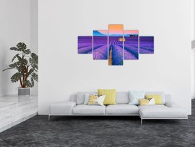 Obraz - Lewndowe pole (125x70 cm)