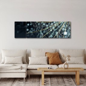 Obraz - Kwiat z pajęczyną (170x50 cm)