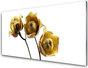 Panel Szklany do Kuchni Stylowa Flora Ścienna