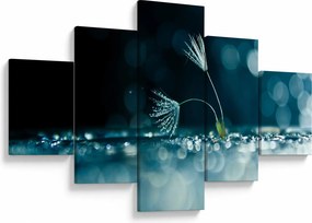 Obraz - Makro (125x70 cm)