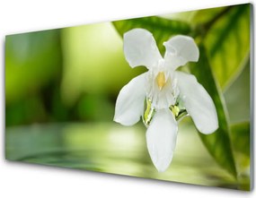 Szkło do Kuchni na Ścianę Duet Kwiatu I Zieleni