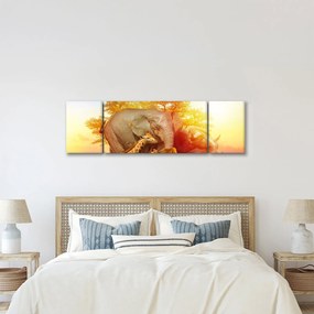 Obraz zwierząt afrykańskich (170x50 cm)