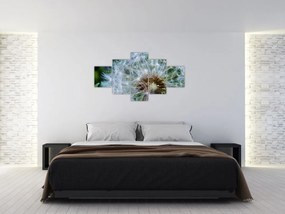 Obraz przekwitniętego dmuchawca (125x70 cm)
