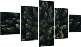 Obraz - Las (125x70 cm)