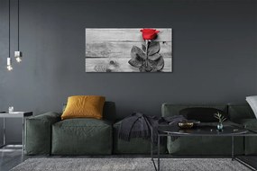 Obraz na płótnie Pojedyncza Czerwona Róża