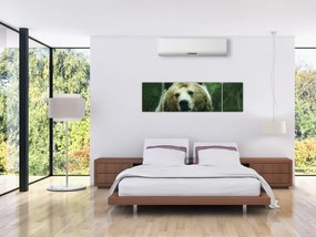Obraz niedźwiedzia (170x50 cm)