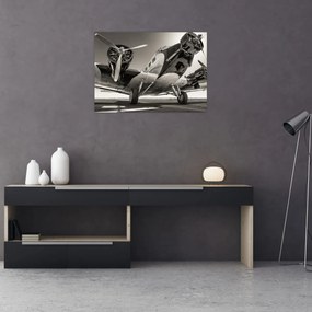 Obraz - Historyczne samoloty (70x50 cm)