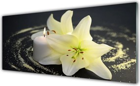 Panel Szklany Piękno Polnego Kwiatu