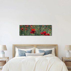 Obraz - Łąka z makami (z zegarem) (90x30 cm)