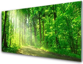 Szkło do Kuchni na Ścianę Ścieżka W Głębi Lasu