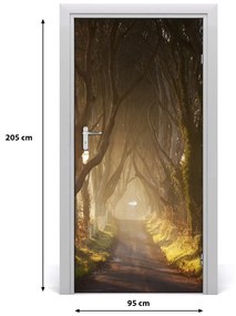 Naklejka fototapeta na drzwi Ścieżka w lesie