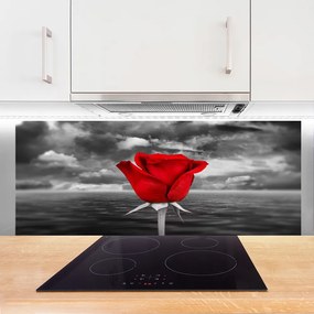 Panel Kuchenny Dzika Róża Nad Brzegiem Morza