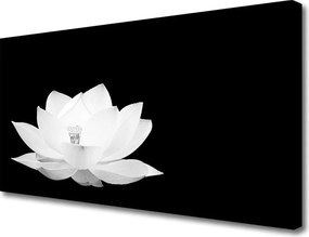 Obraz na płótnie Naturalne Piękno Kwiatu