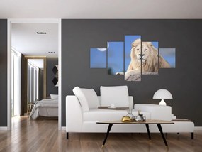 Obraz - Biały lew (125x70 cm)