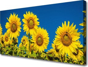 Zdjęcie na płótnie Radosne Pole Słoneczników
