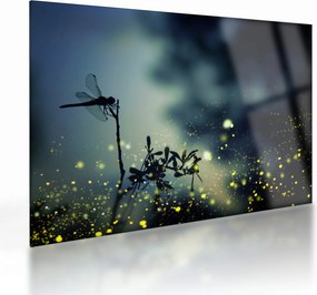 Obraz na szkle - Ważka w błyszczącej nocy (70x50 cm)