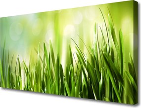 Fotoobraz na płótnie Soczysta Zielona Trawa
