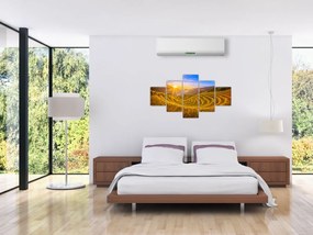 Obraz - Pole ryżowe w Wietnamie (125x70 cm)