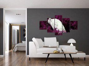 Obraz - Biały paw (125x70 cm)