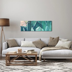 Obraz - Sukulent (z zegarem) (90x30 cm)