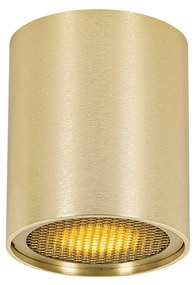 Designerski reflektor złoty - Tubo HoneyDesignerski Oswietlenie wewnetrzne