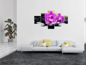 Obraz - Storczyki (125x70 cm)