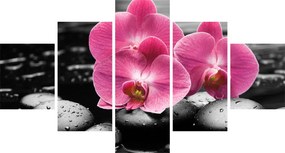 Obraz - Różowe orchidee (125x70 cm)