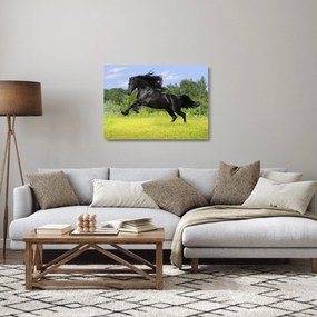 Obraz na szkle - Koń z płynącą grzywą (70x50 cm)
