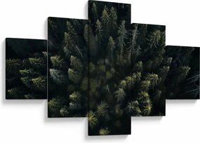 Obraz - Las (125x70 cm)