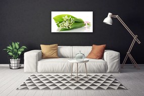 Obraz Canvas Kwiaty Roślina Natura