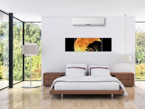 Obraz cieni w świetle księżyca (170x50 cm)