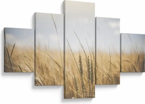 Obraz ziarna (125x70 cm)
