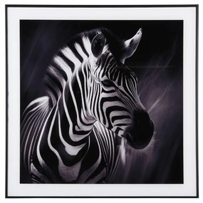 Obraz 50x50 cm Zebra – PT LIVING