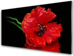 Szkło Dekoracyjne do Kuchni Samotny Mak w Polu