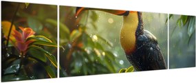 Obraz - Tukan (170x50 cm)