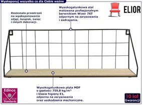 Czarna industrialna druciana półka wisząca - Erna