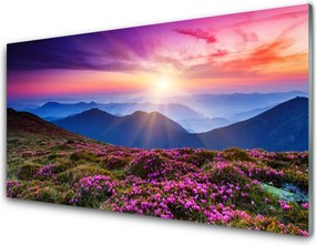 Panel Kuchenny Kwiatowa Polana W Górach