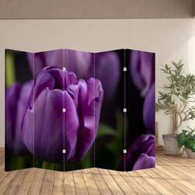 Parawan - Kwiat tulipana (210x170 cm)