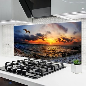 Panel Kuchenny Mewa Nad Brzegiem Oceanu