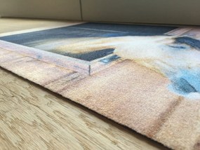 Wycieraczka Deco Star Konik 40 cm x 60 cm