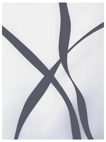 Zasłona prysznicowa 120x200 cm Ribbon – Spirella