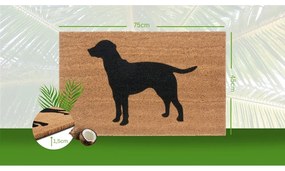 Wycieraczka 45x75 cm Mix Mats – Hanse Home